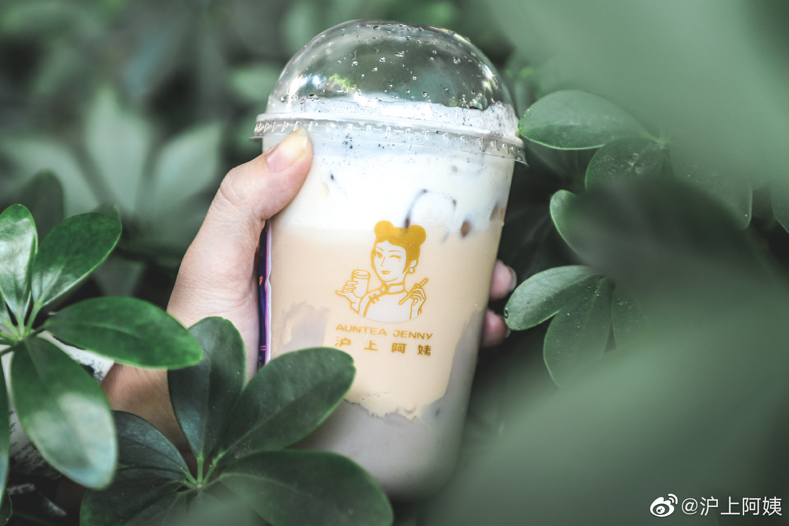 沪上阿姨奶茶店加盟费要多少钱一年呢视频